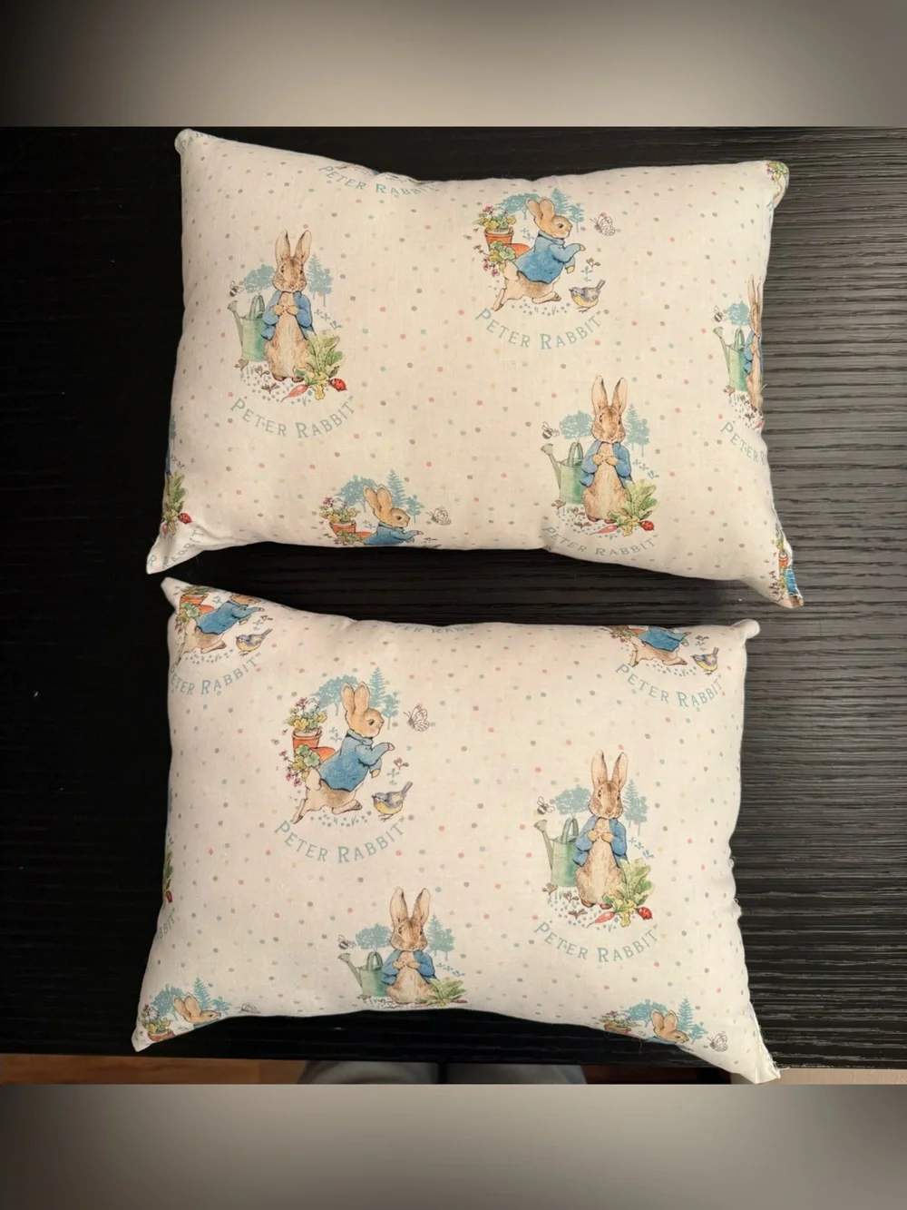 Handmade Peter Rabbit Fabric Pillows Bundle of (2) Pillows